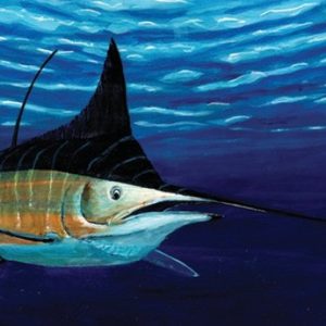 Marlin #17