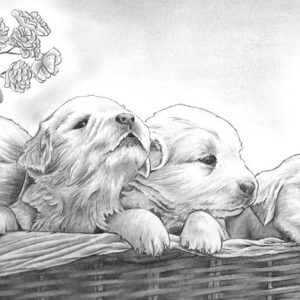 Who Let The Dogs Out